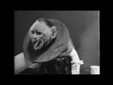 Miniatura wideo YouTube