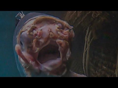 Miniatura wideo YouTube