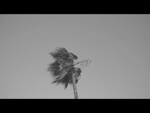 Miniatura wideo YouTube