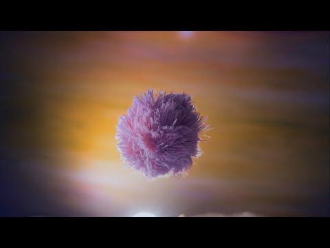 Miniatura wideo YouTube