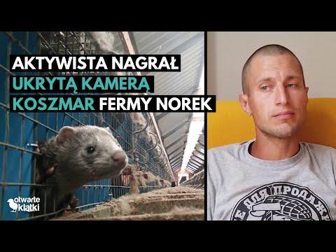 Miniatura wideo YouTube