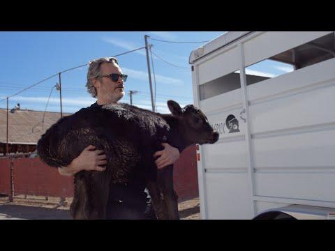 Miniatura wideo YouTube