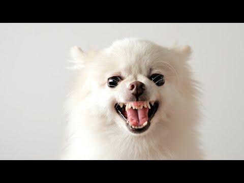 Miniatura wideo YouTube