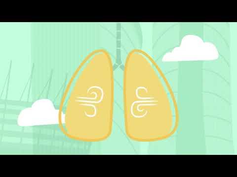 Miniatura wideo YouTube