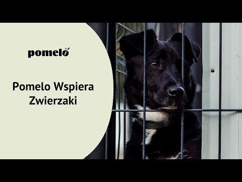 Miniatura wideo YouTube