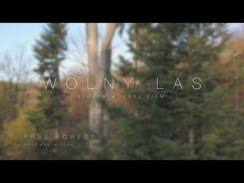 Miniatura wideo YouTube