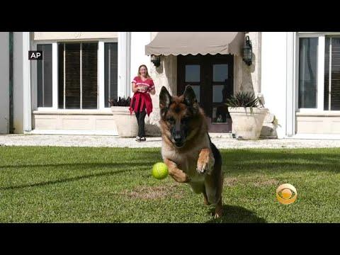 Miniatura wideo YouTube