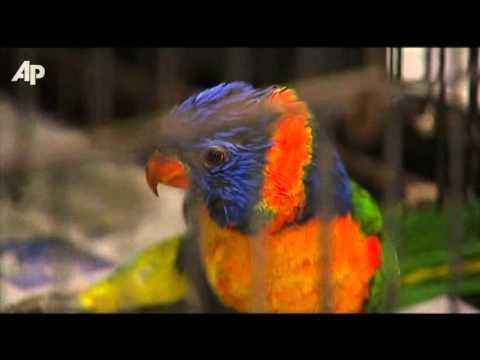 Miniatura wideo YouTube