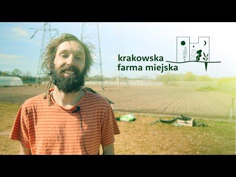 Miniatura wideo YouTube