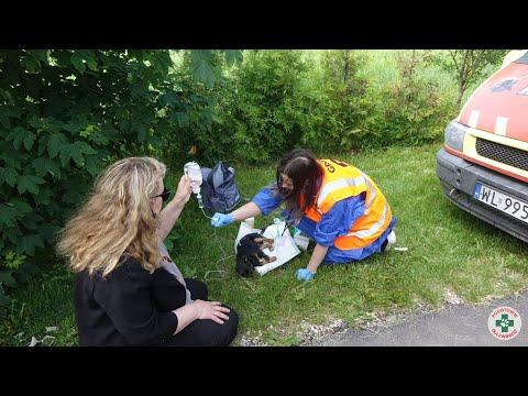 Miniatura wideo YouTube