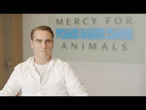 Miniatura wideo YouTube