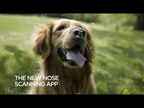 Miniatura wideo YouTube