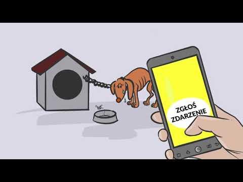 Miniatura wideo YouTube