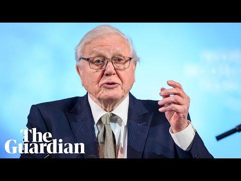 Miniatura wideo YouTube