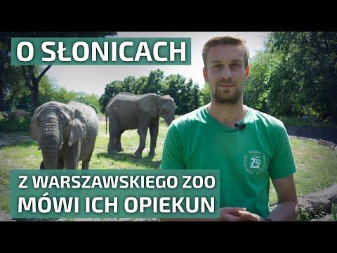 Miniatura wideo YouTube