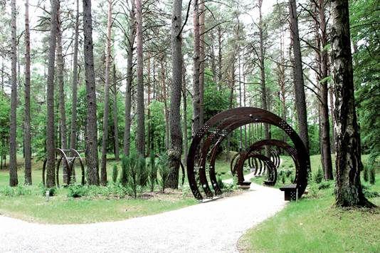 5 najlepszych ośrodków terapii leśnej w Europie