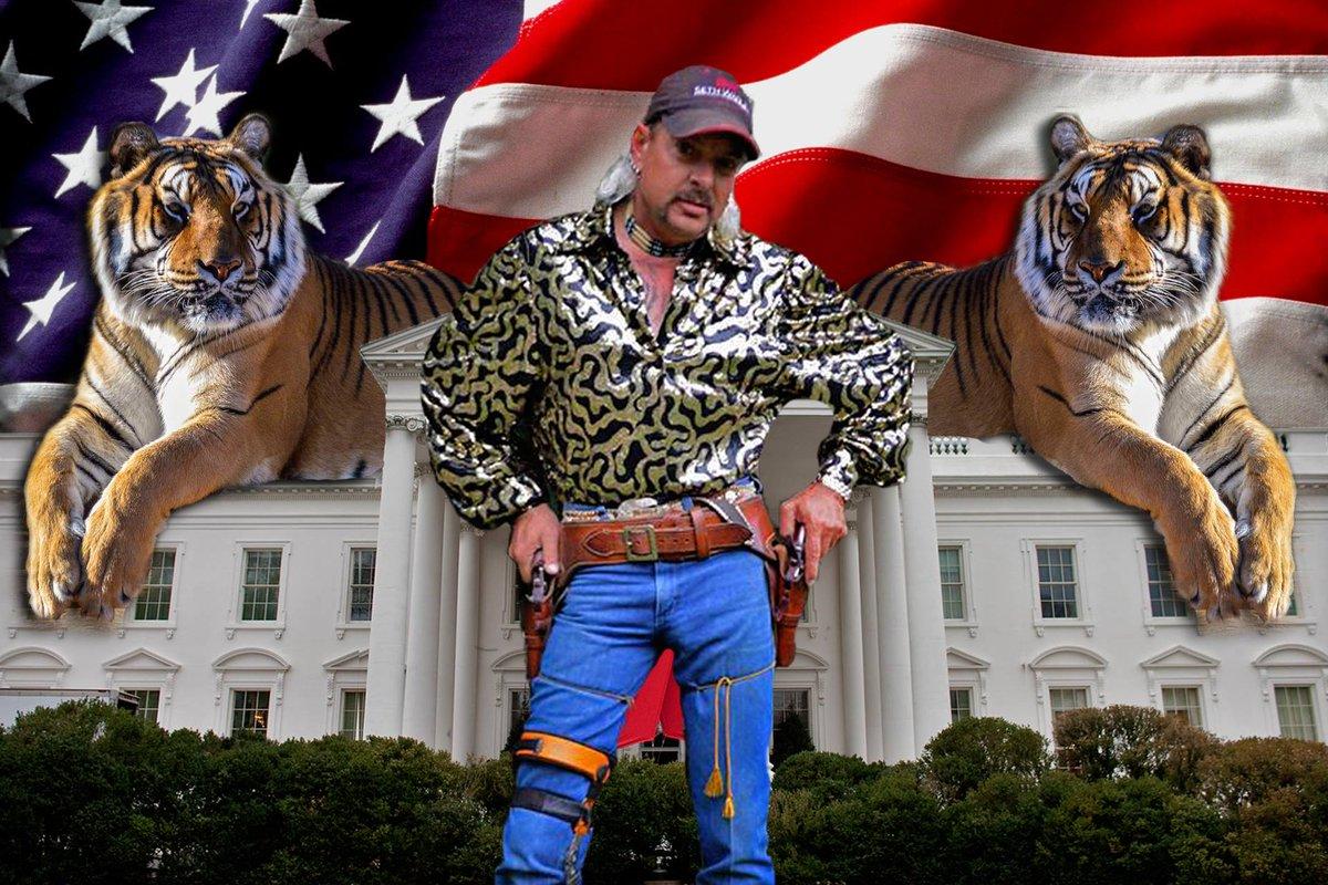 Ten dokument Netflixa to czyste szaleństwo - dzikie koty, poligamia i zaginiony milioner