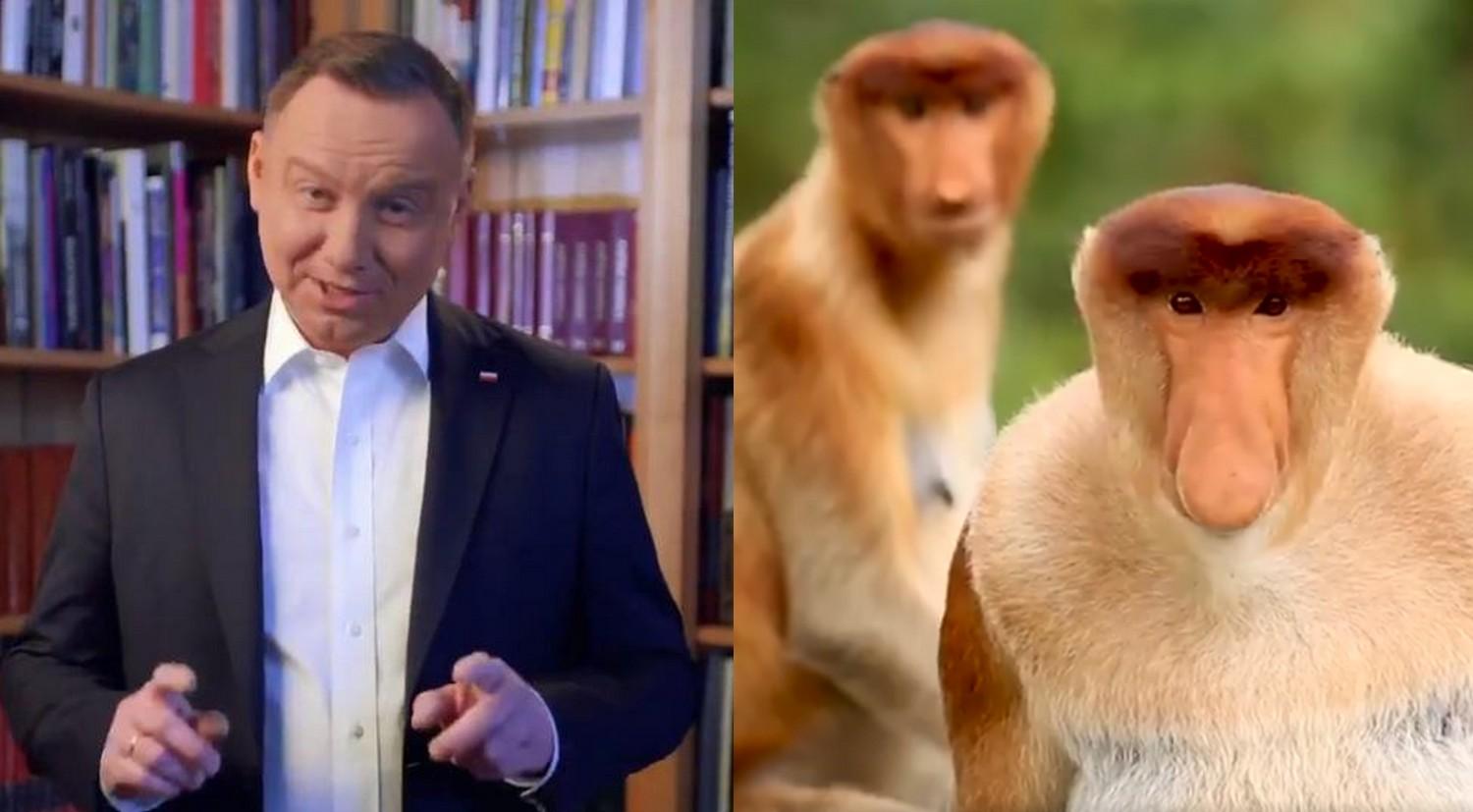 Prezydent Andrzej Duda zadebiutował na TikToku i jego pierwszy filmik to hit sieci