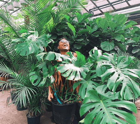 Magiczna strona roślin. Jaki wpływ mają rośliny na nasze zdrowie psychiczne i fizyczne?