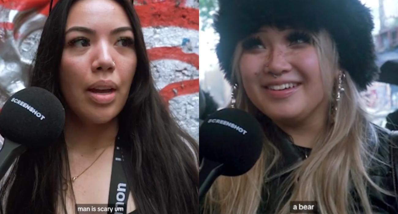 Kto gorszy: mężczyzna czy niedźwiedź? Odpowiedzi kobiet stały się viralem [WIDEO]