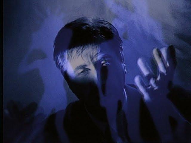 Bryan Ferry i Trent Reznor z Nine Inch Nails. „Star” to powrót po 10 latach przerwy [WIDEO]