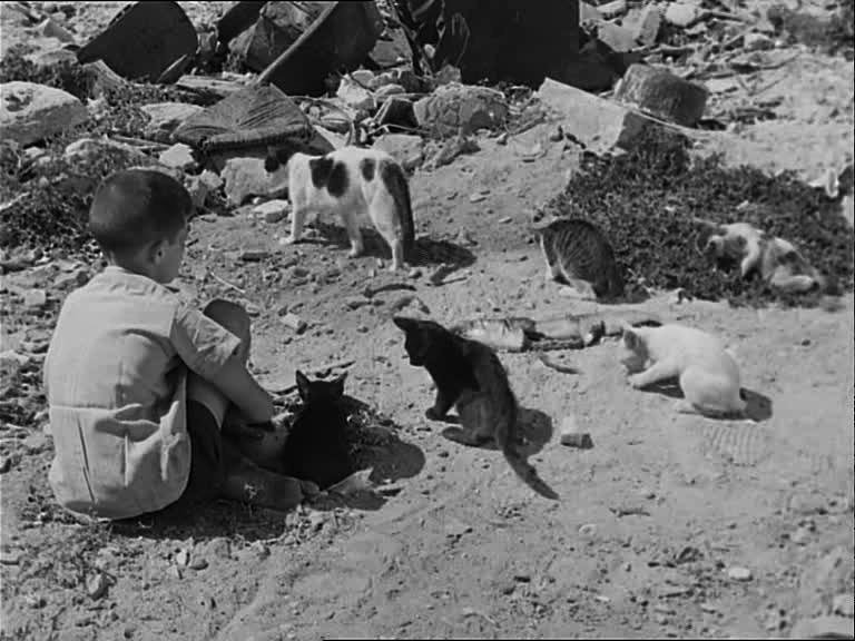 „Ziemia bez chleba” 1933, Luis Buñuel