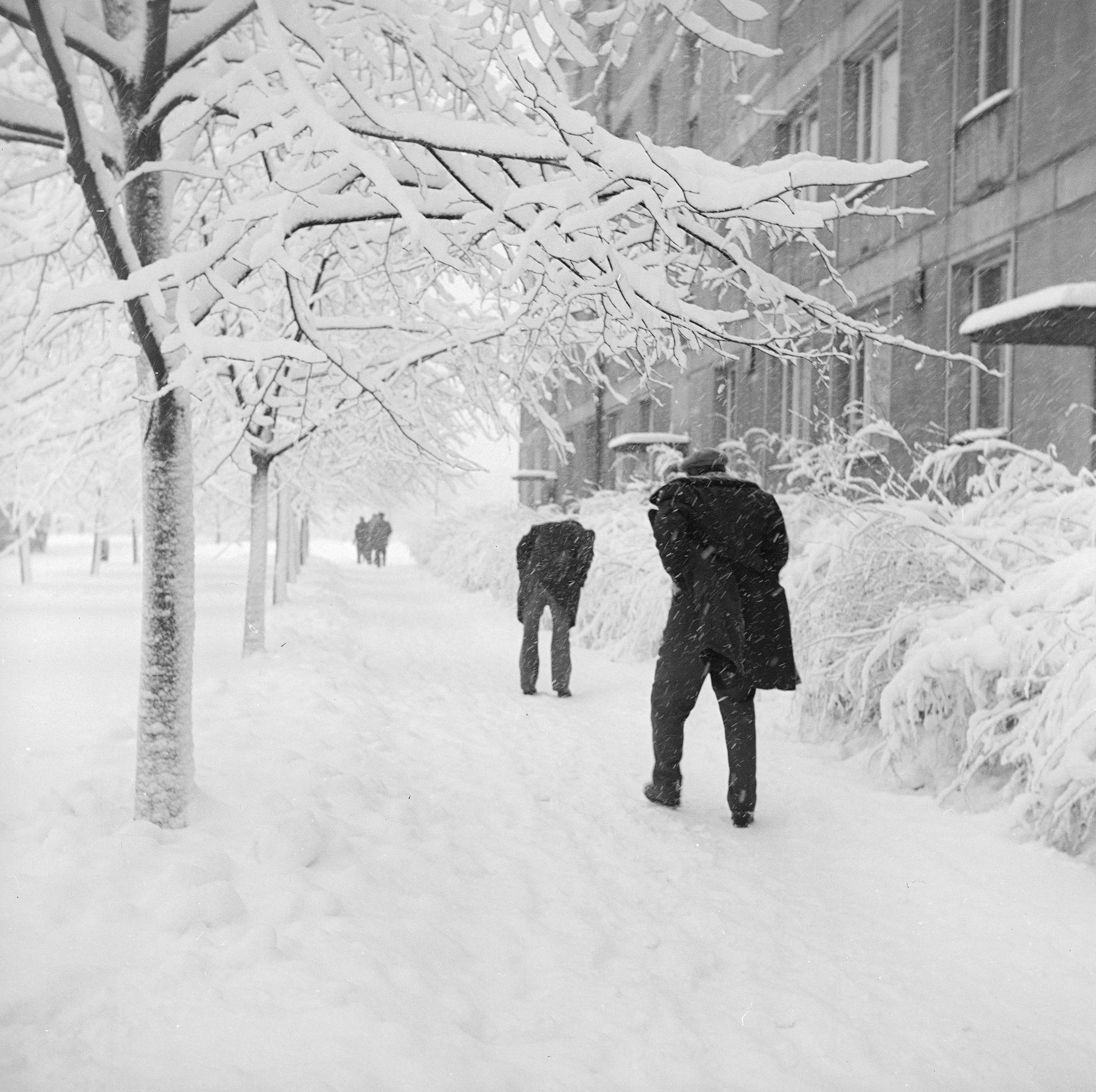 Zima na Wierzbnie w Warszawie.