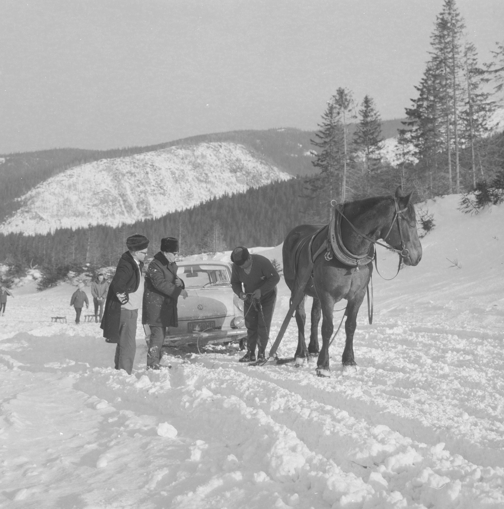 Zaprzęganie konia do samochodu Volkswagen Typ 3 Variant unieruchomionego na drodze w górskiej dolinie.