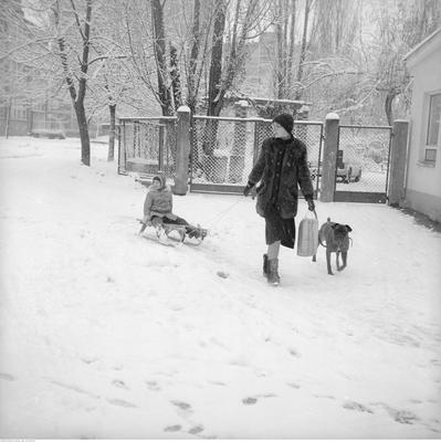 Kobieta ciągnąca dziecko na sankach po zaśnieżonym chodniku. Obok pies na smyczy.