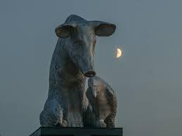 Z popiołów, Zachęta – Narodowa Galeria Sztuki w Warszawie