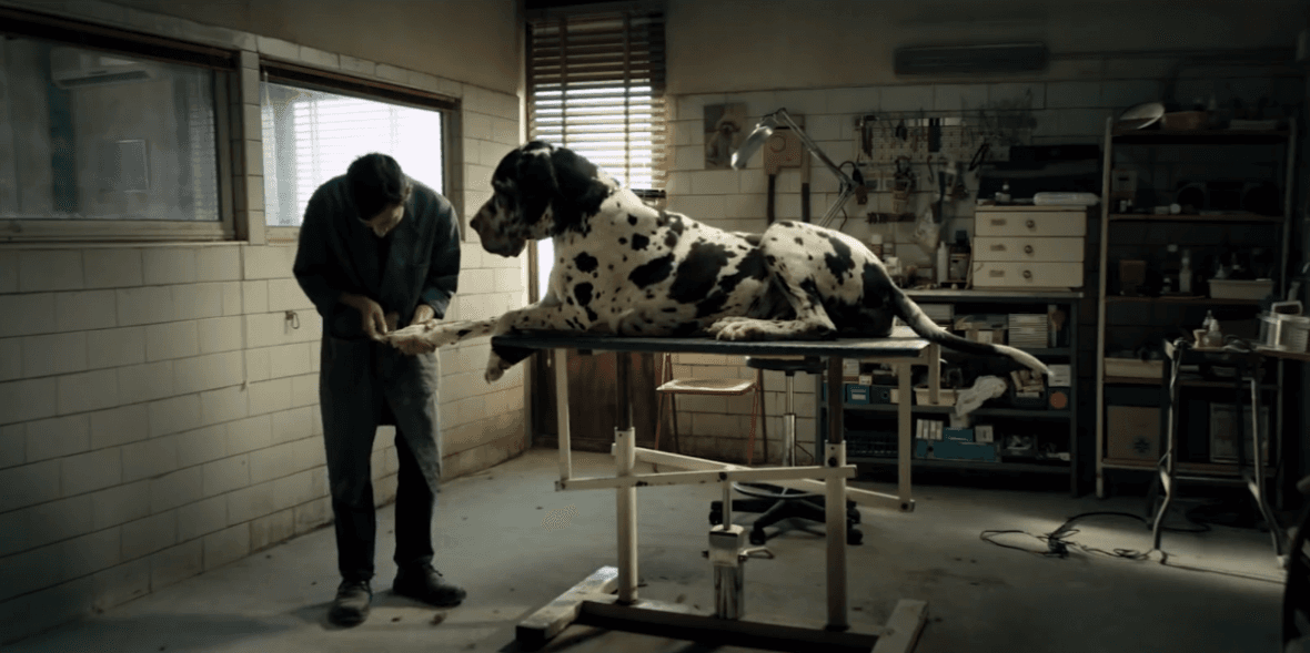 5. Dogman, reż. Matteo Garrone