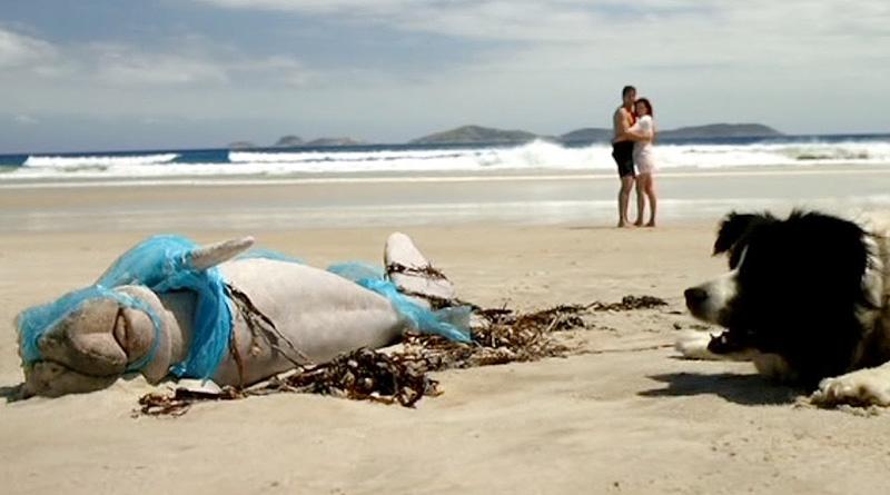 „Długi weekend” (1978), reż. Colin Eggleston