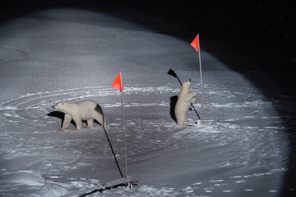 Środowisko - Esther Horvath