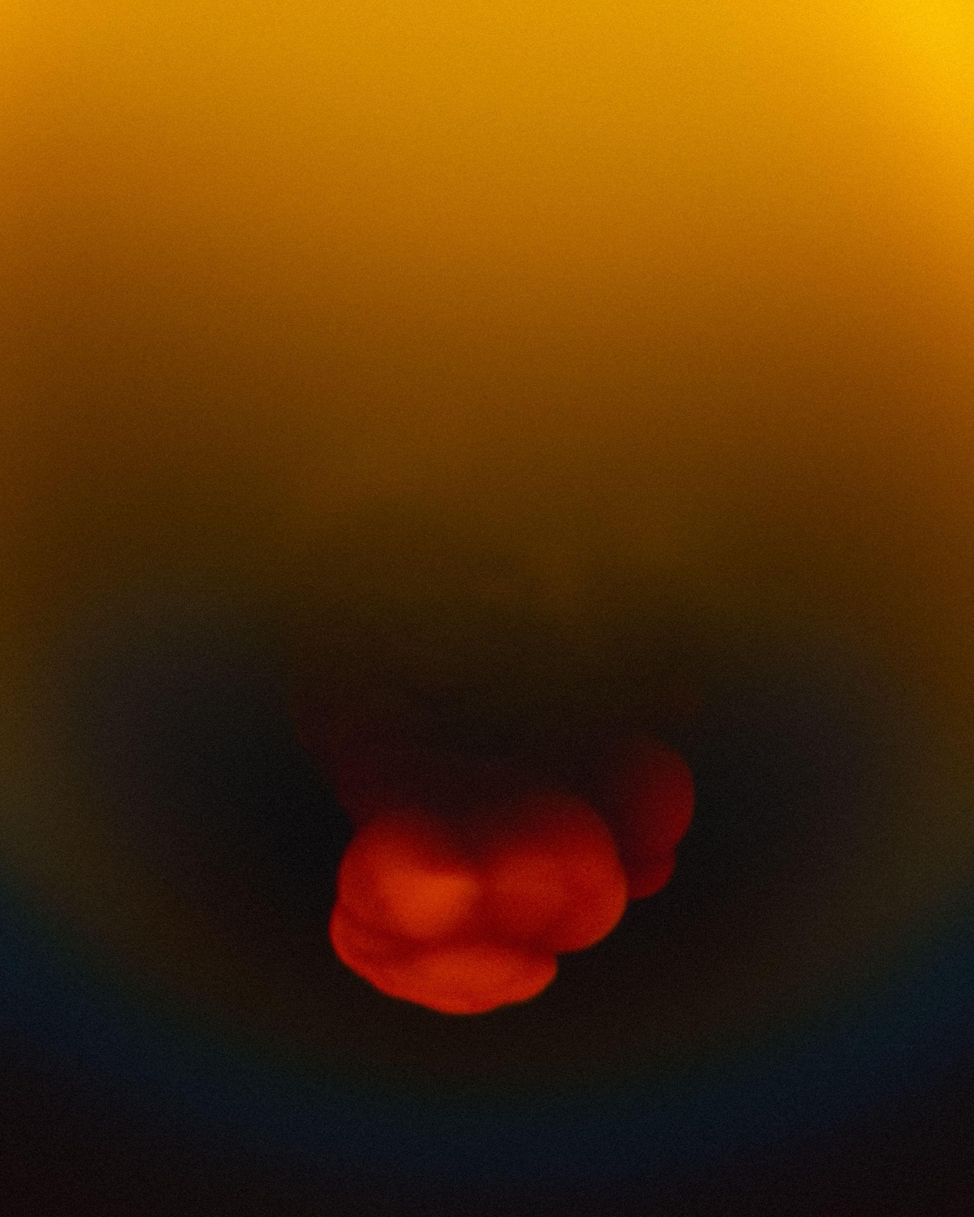 Wystawa „Otto Piene. Gwiazdy” w Muzeum Narodowym we Wrocławiu