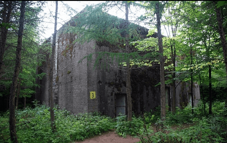 Mamerki - tajemnicze bunkry Wermachtu
