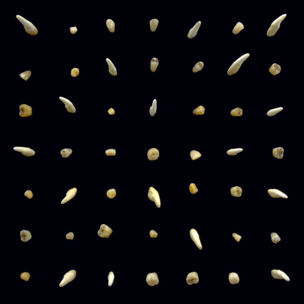 41. Clipping - Visions Of Bodies Burned