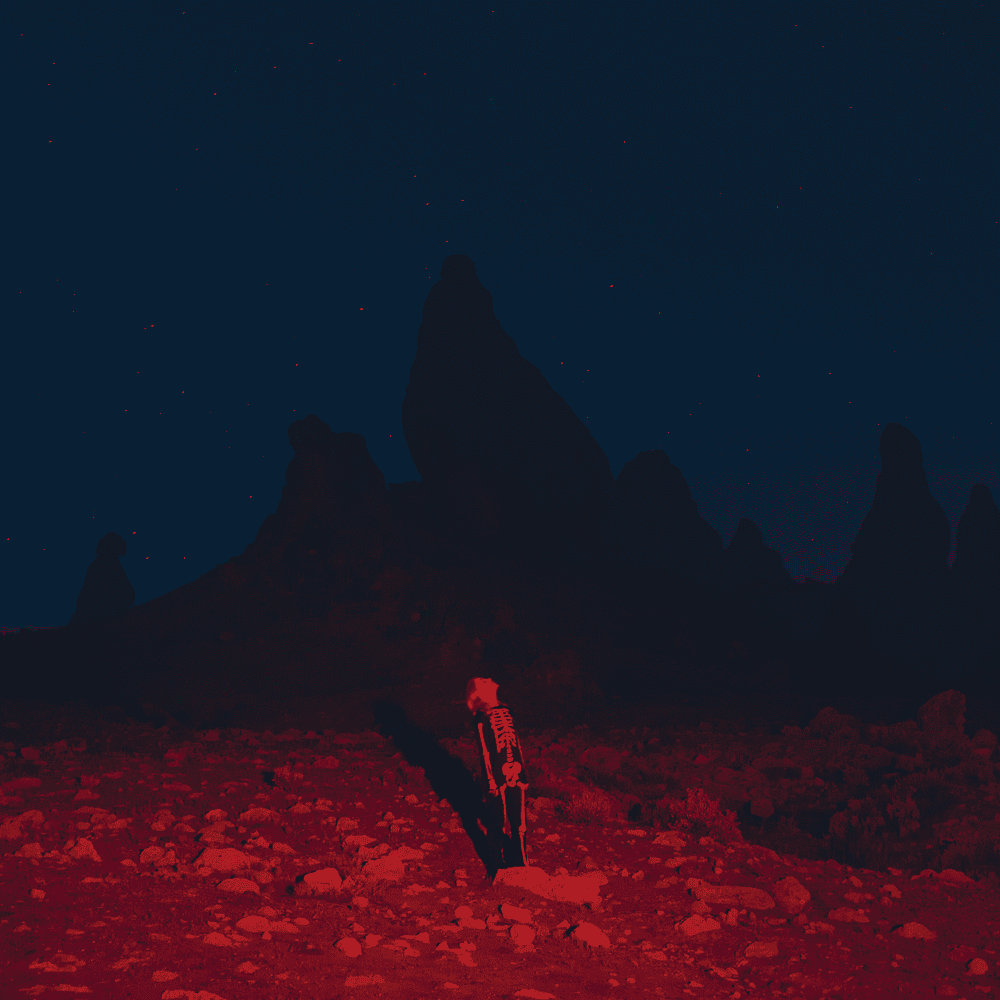 8. Phoebe Bridgers - Punisher