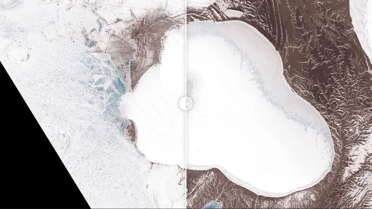 Czapa lodowa Vavilova