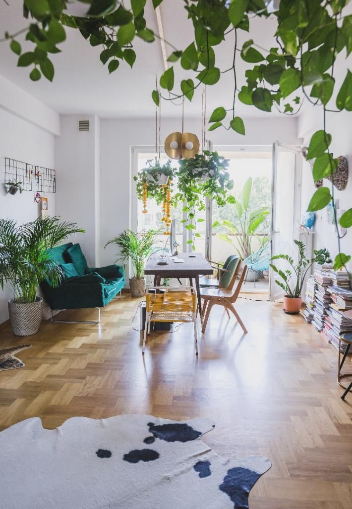 Zobaczcie piękne mieszkanie utalentowanej scenografki oraz niezwykle obiecującego młodego operatora