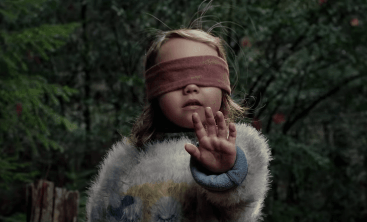 Walka z głupotą trwa: Netflix i YouTube wojują z "Bird Box challenge"