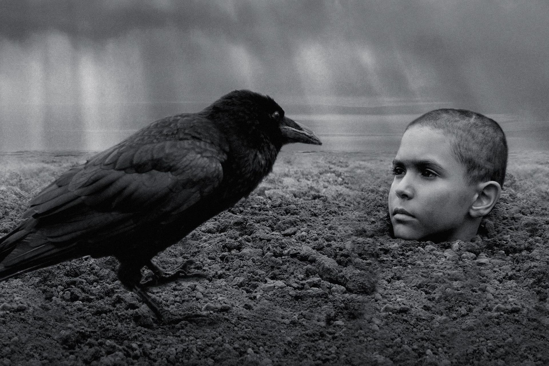 Jest pełny zwiastun filmu "Malowany ptak" na podstawie kontrowersyjnej książki Kosińskiego