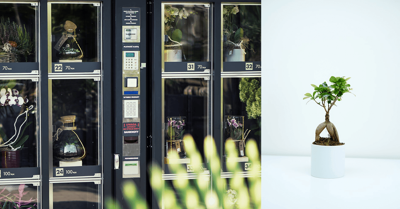W Warszawie pojawił się Kwiatomat 24/7. Oferuje bukiety, rośliny doniczkowe, a nawet lasy w słoiku