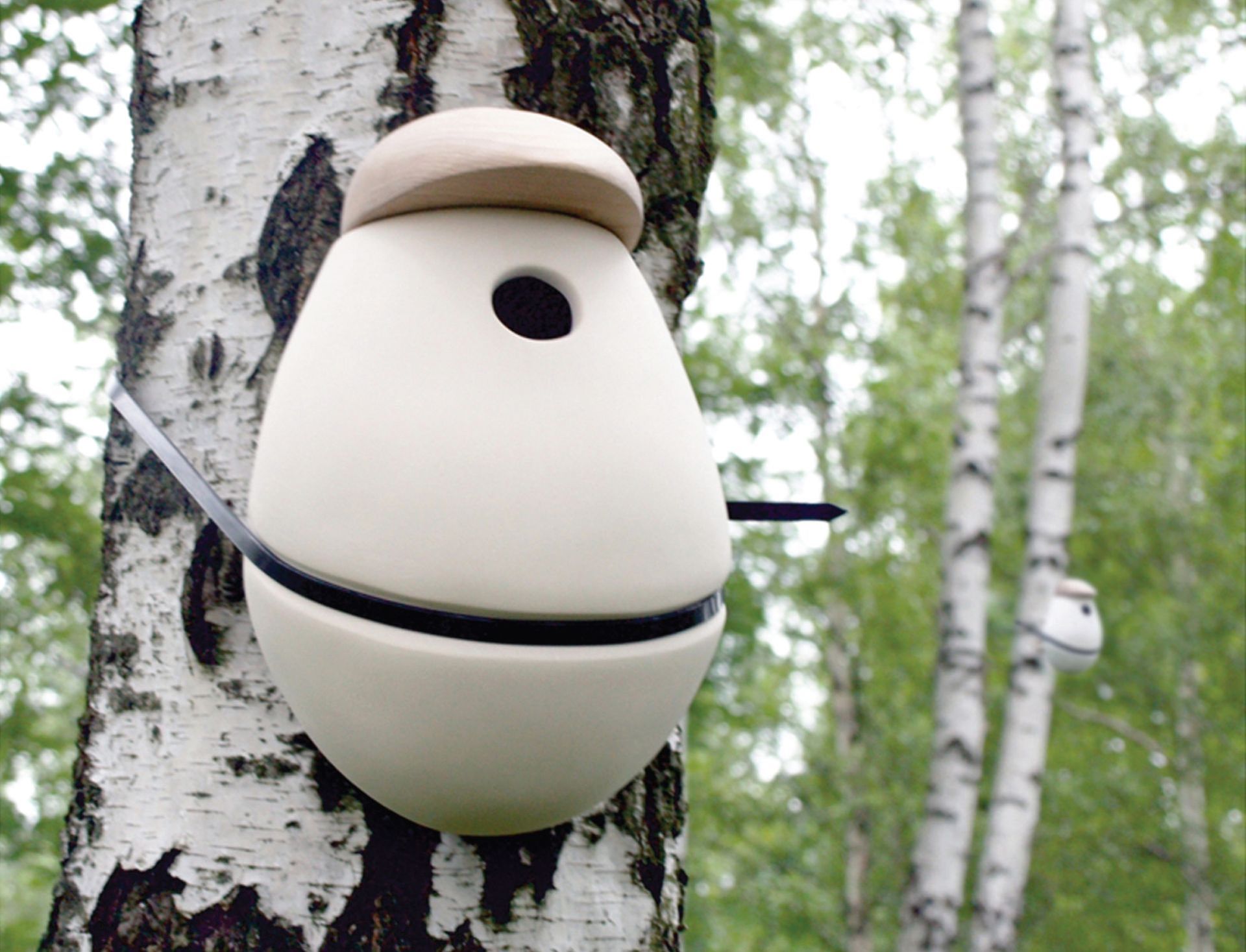 Polska projektantka stworzyła piękne domki lęgowe dla ptaków. Utrzymują je opaski zaciskowe, które nie niszczą drzew