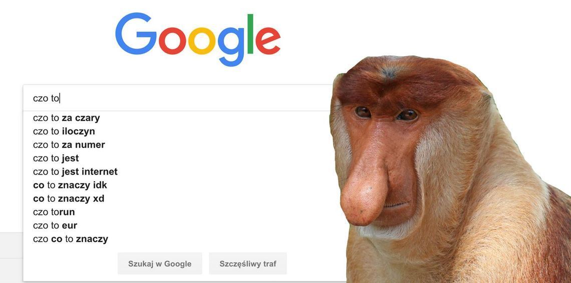 Czego szukali Polacy w Google'u w 2019 roku? Oto oficjalny ranking najczęstszych zapytań w wyszukiwarce