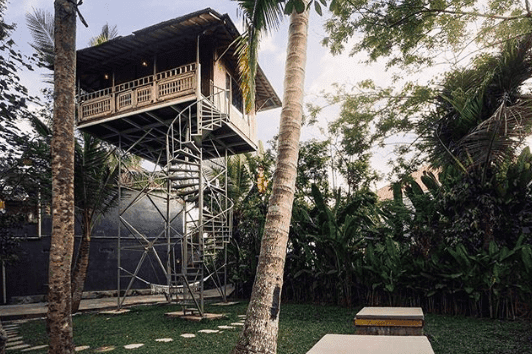 Domki na drzewach, które łączą miejską architekturę z tropikalnym klimatem