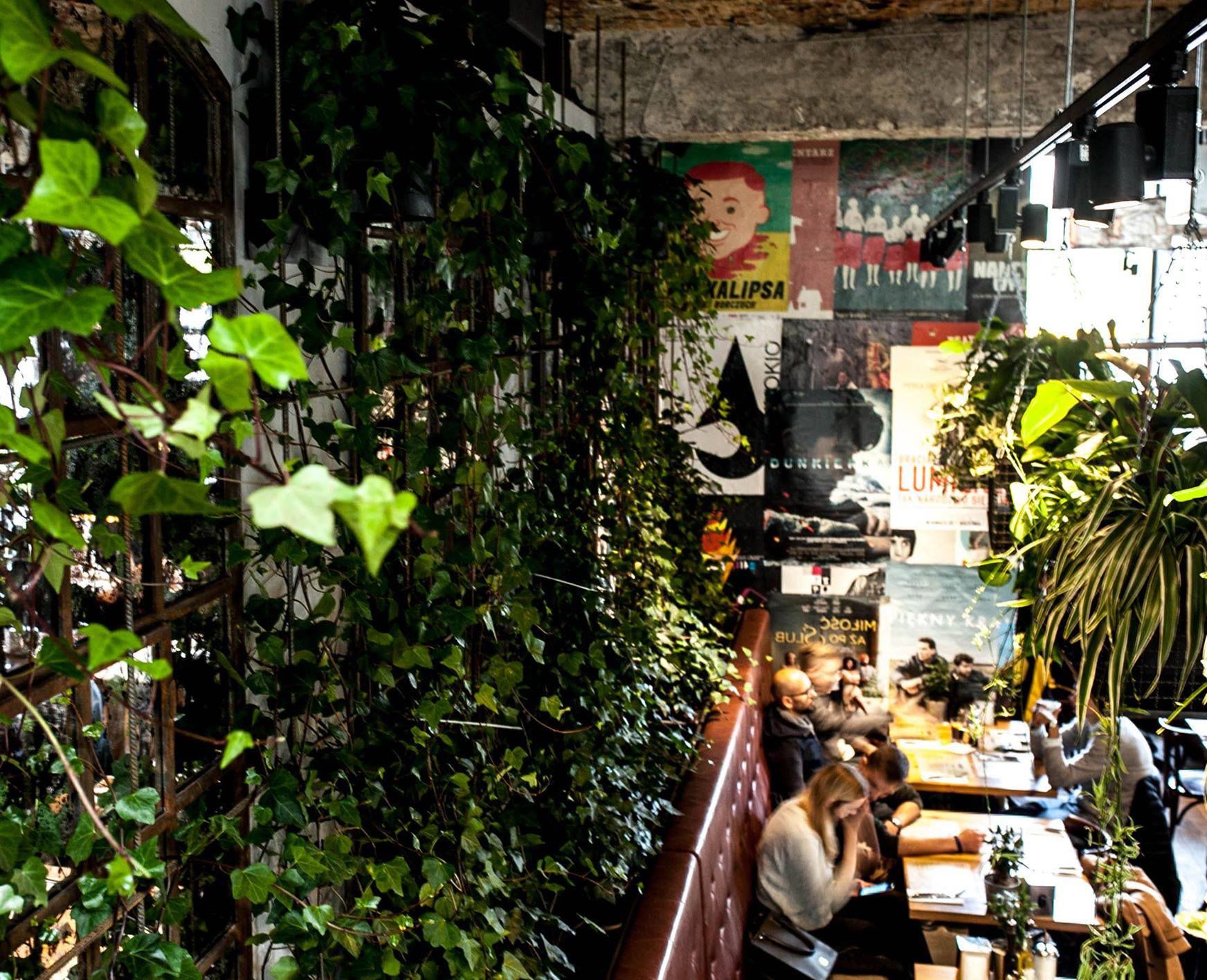 Najbardziej zielona restauracja w Polsce otwiera się w kolejnej lokalizacji. To już jej piąta filia