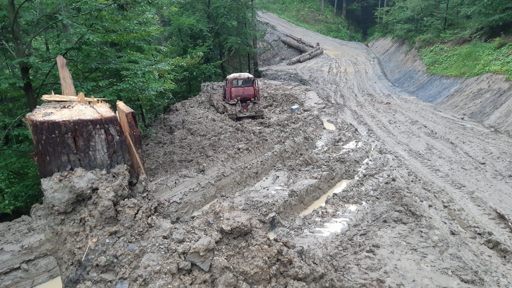 Trwa wycinka Puszczy Karpackiej. Lasy Państwowe nie przewidują kompromisu