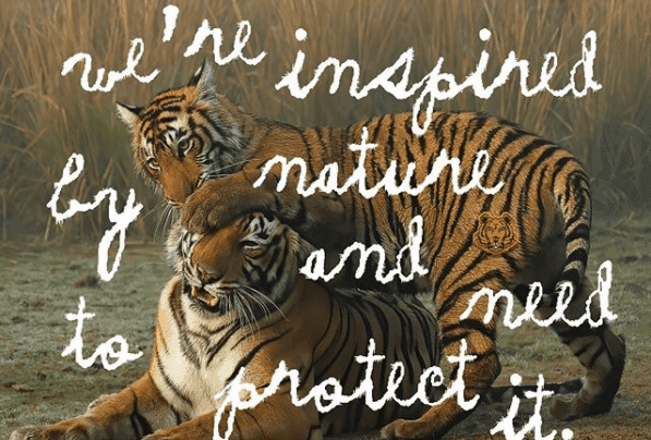 Kenzo debiutuje z nowym logiem wspierając wzrost populacji dzikich tygrysów