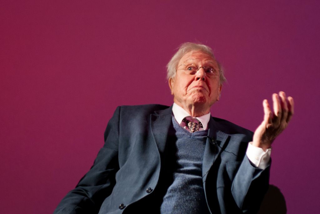 Sir David Attenborough w rekordowym tempie podbija Instagram i ostrzega przed kryzysem klimatycznym