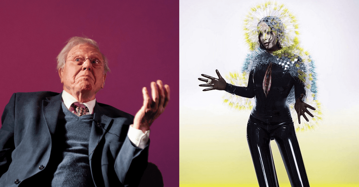 Sir David Attenborough fanem Björk? Słynny biolog wspomina spotkanie z artystką